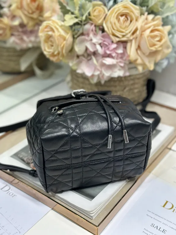 Dior Bag 